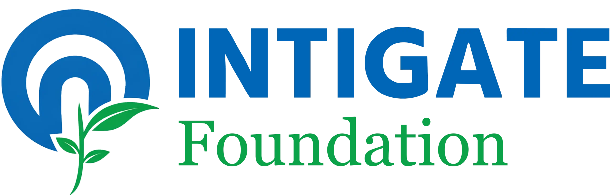Intigate Foundation